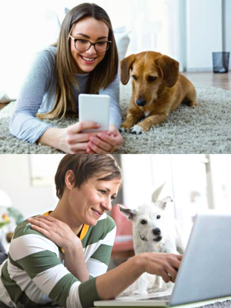 pet marketing agency