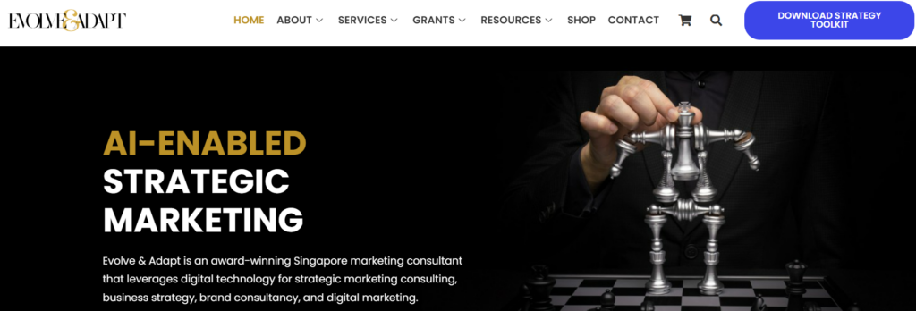 marketing consultant firms
