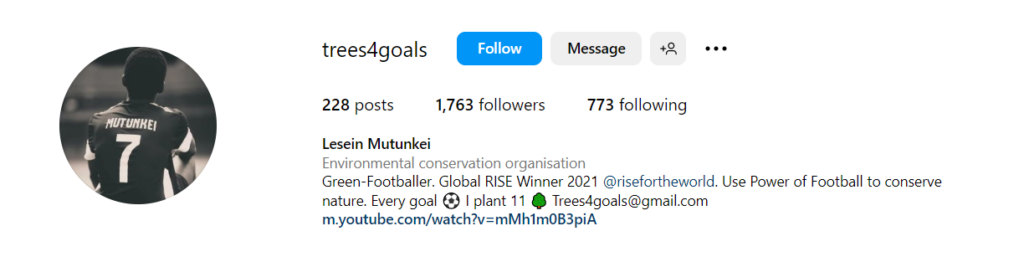 Gen Z activist influencers