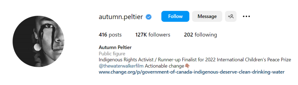 gen Z activist influencers