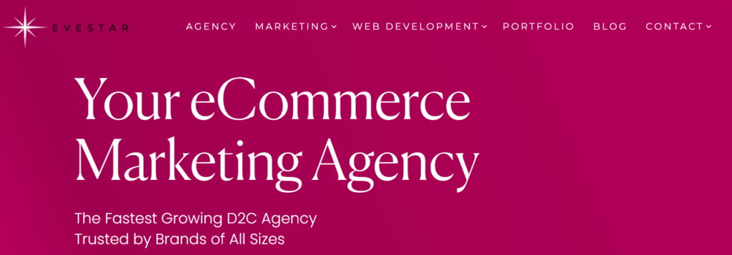 TikTok marketing agencies TikTok marketing agencies