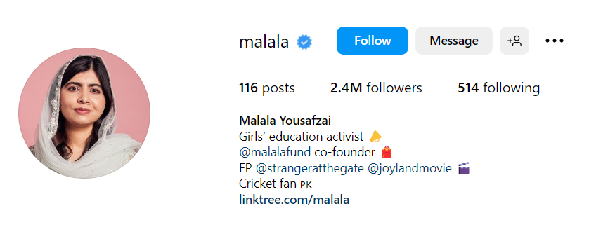 gen Z activist influencers