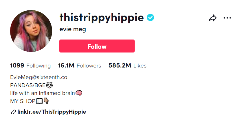 TikTok activists thistrippyhippie TikTok activists thistrippyhippie