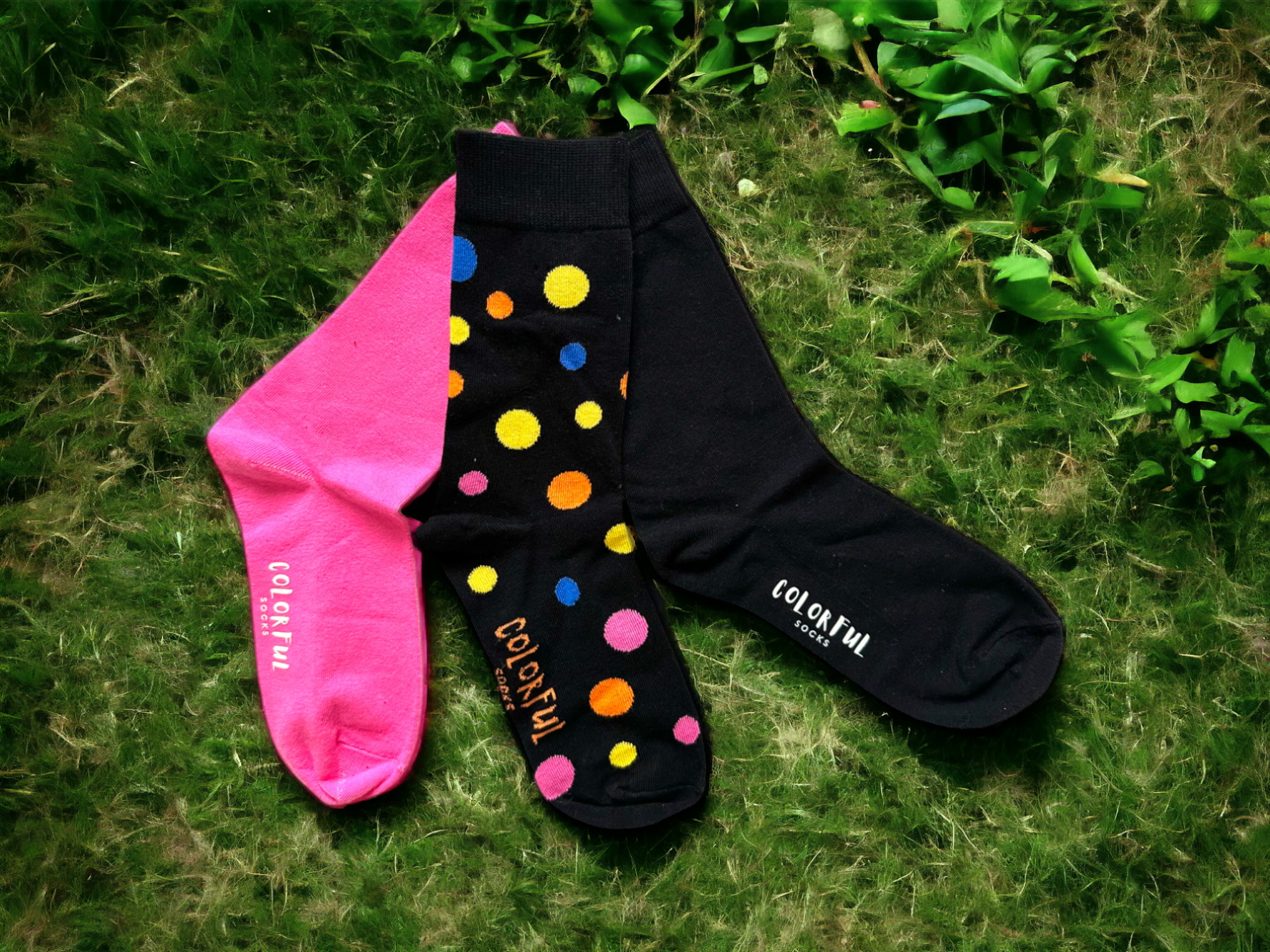 IMG_0532-PhotoRoom-PhotoRoom (3) Best Socks