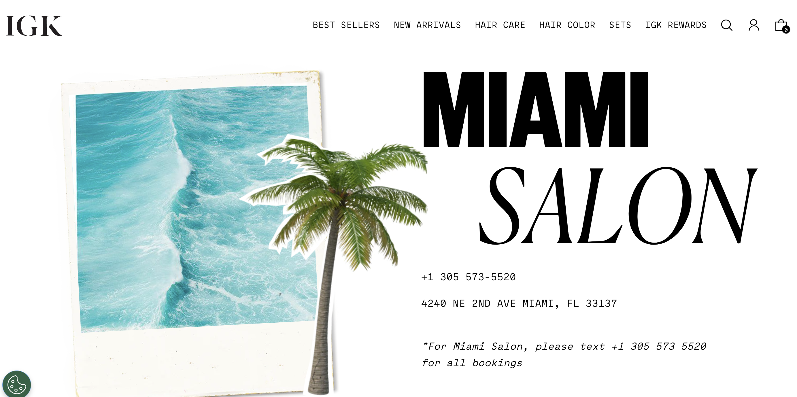 Screen Shot 2024-03-12 at 10.31.50 AM Best Hair Saloons In Miami