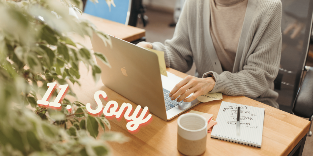 sony Best Email Marketing Campaign