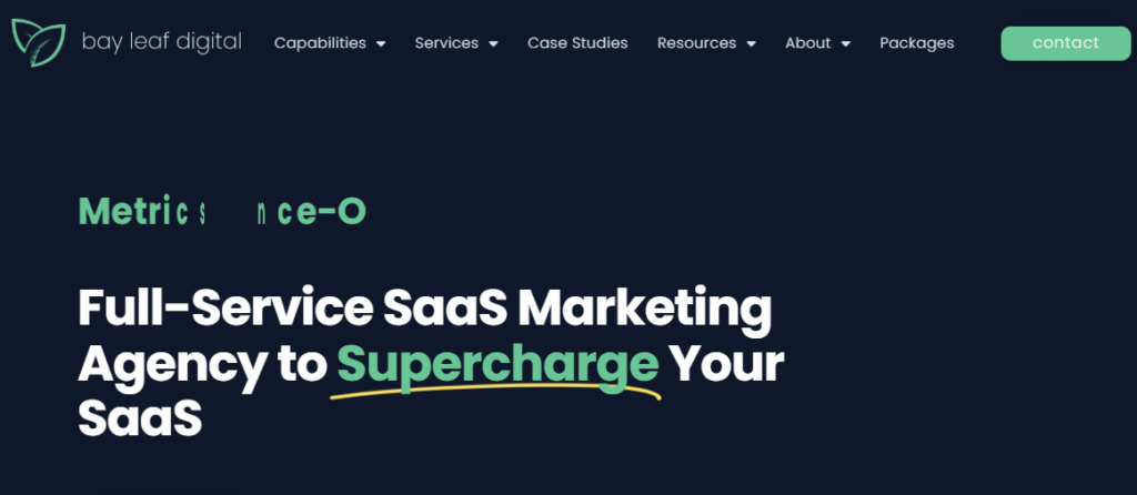 BAY LEAF 1 SOFTWARE MARKETING AGENCIES