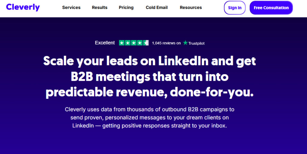 cleverly SOFTWARE MARKETING AGENCIES