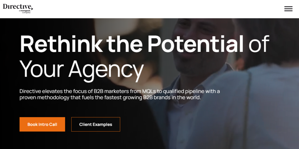 directive SOFTWARE MARKETING AGENCIES