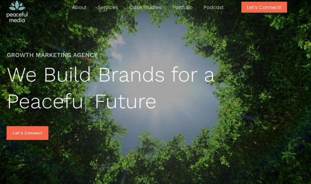 BEST SUSTAINABLE INFLUENCER MARKETING AGENCIES