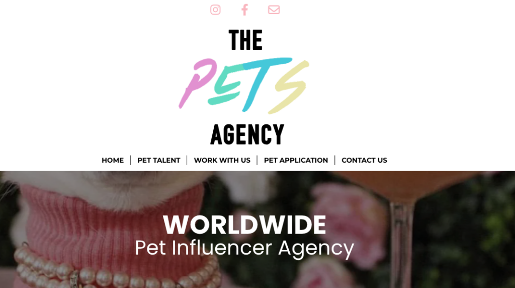 THE PETS AGENCY Pet Influencer Marketing Agencies