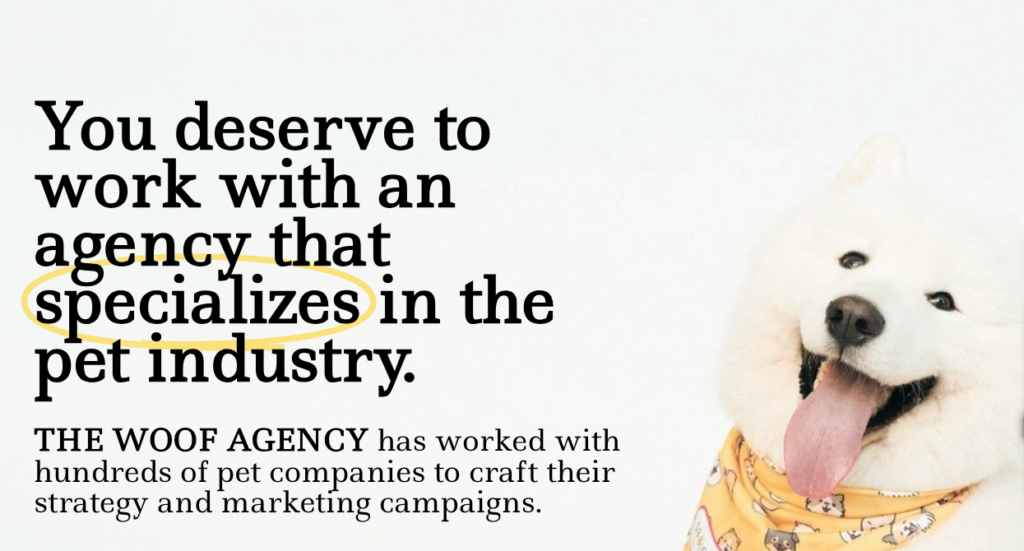 THE WOOF AGENCY Pet Influencer Marketing Agencies