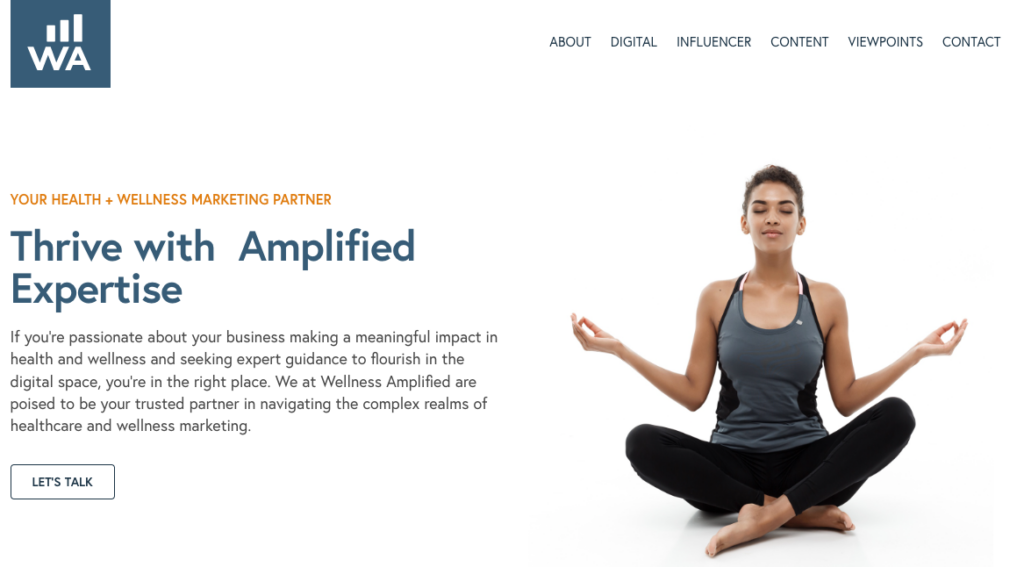 WELLNESS AMPLIFIED WELLNESS INFLUENCER MARKETING AGENCIES