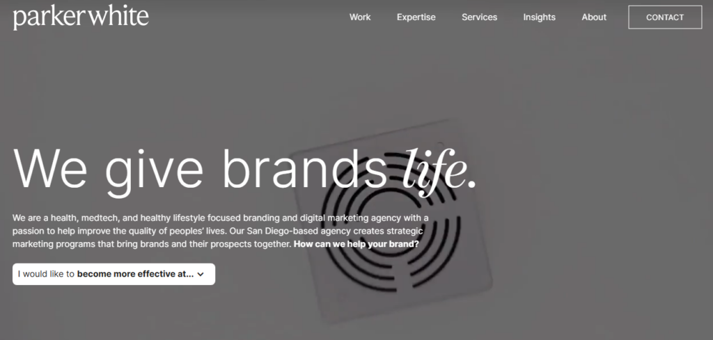 parker white Healthcare Influencer Marketing Agencies