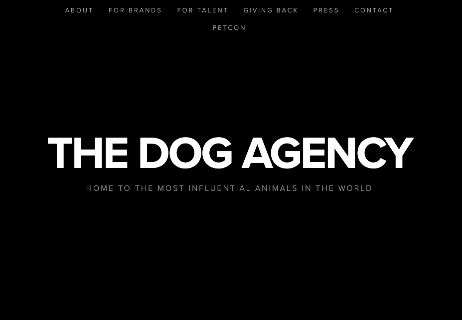 the dog agency Pet Influencer Marketing Agencies