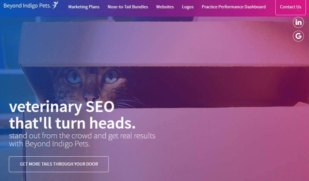 TOP LOCAL SEO AGENCIES FOR VETERINARIANS