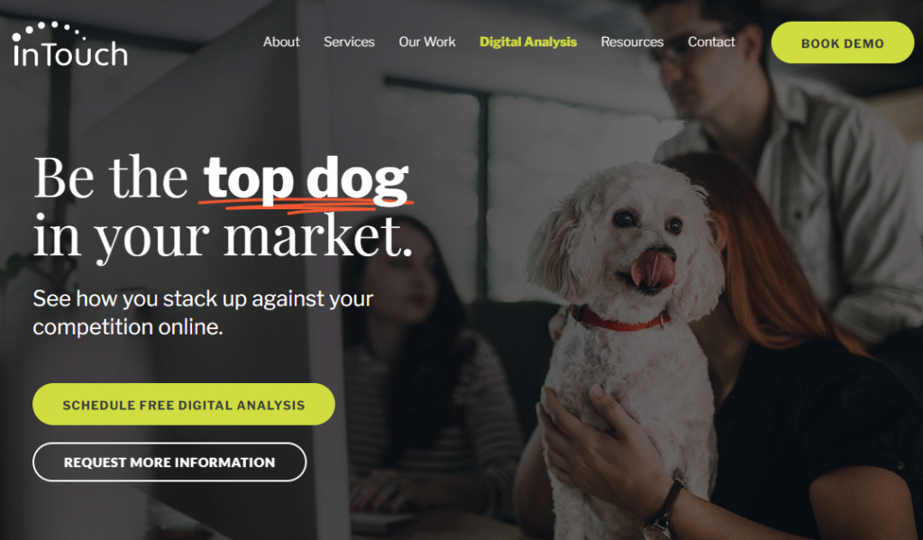 TOP LOCAL SEO AGENCIES FOR VETERINARIANS