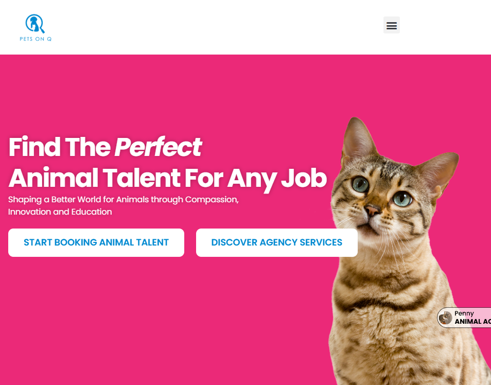 pets on q BEST PET INDUSTRY INFLUENCER MARKETING COMPANIES