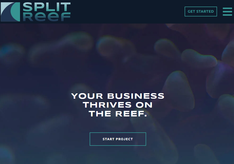 split reef TOP SERVER RESPONSE TIME OPTIMIZATION AGENCIES