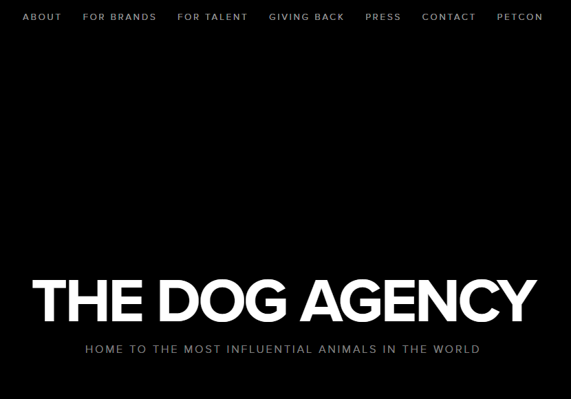 the dog agency BEST PET INDUSTRY INFLUENCER MARKETING COMPANIES