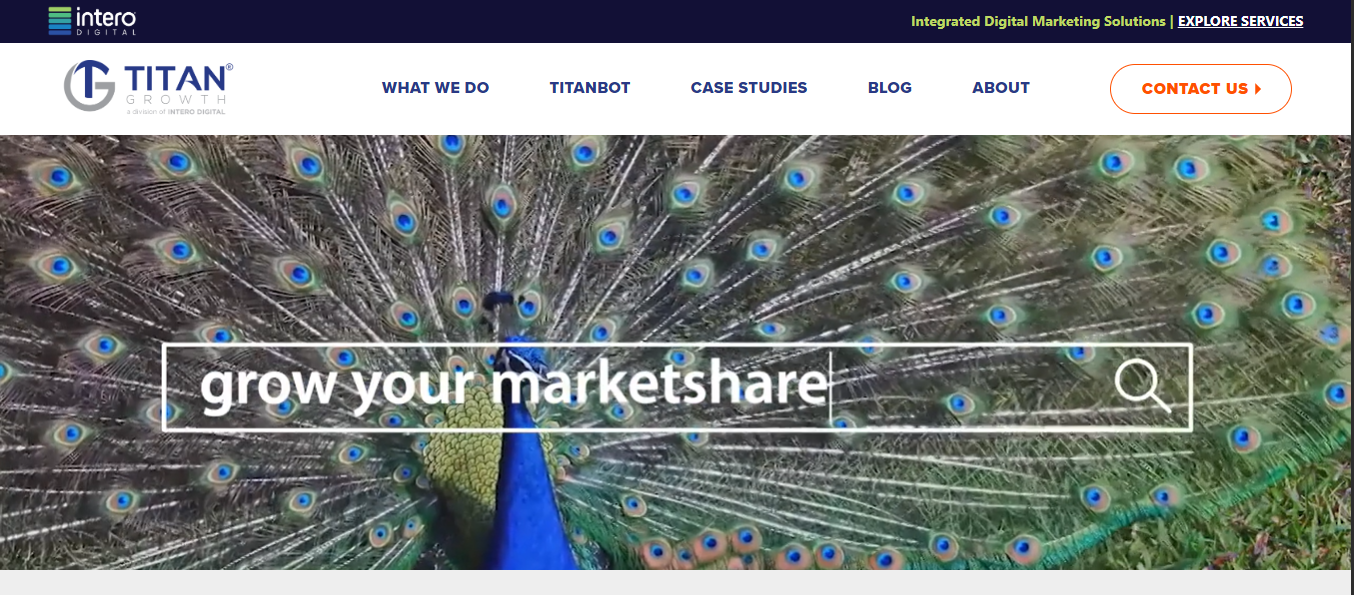 SEO AGENCY FOR LARGE ECOMMERCE SITES