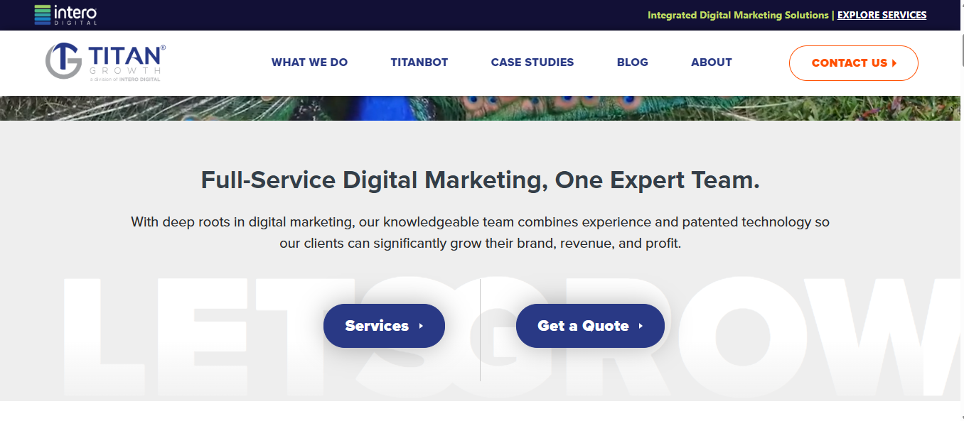 Screenshot 2026-02-08 183400 SEO Agency For Beauty Brands With Large Inventories