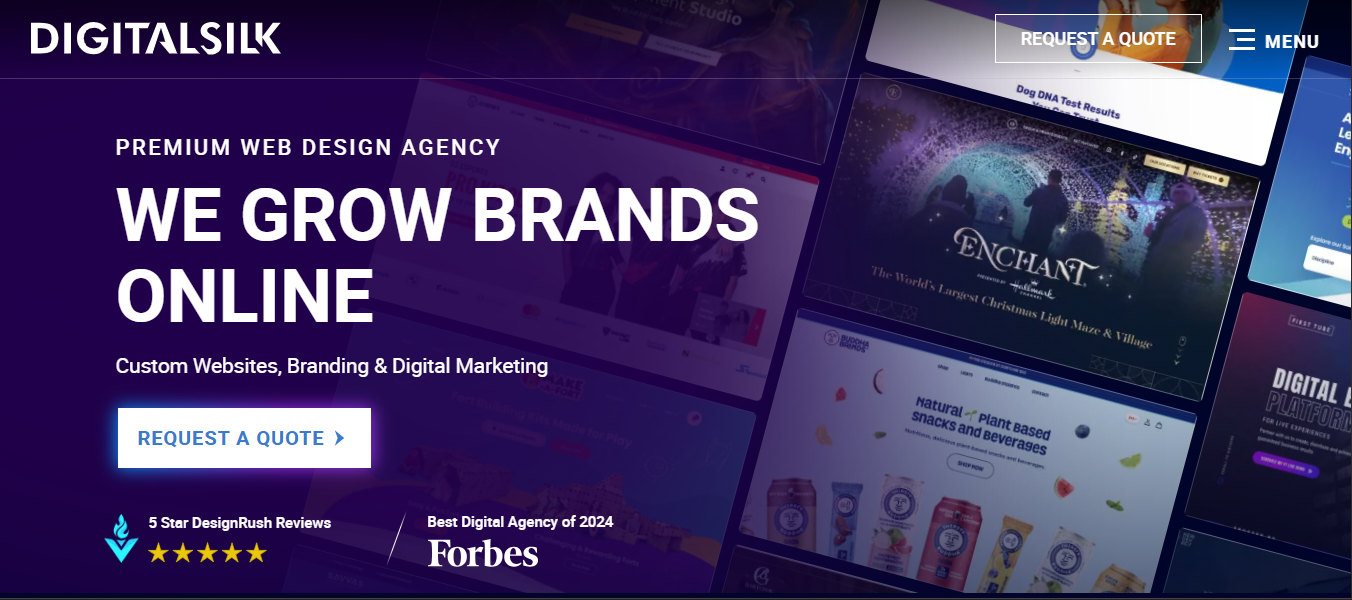 SEO agency for medical skincare brands