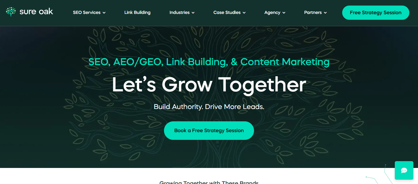Screenshot 2026-02-13 053335 Premium SEO Agency