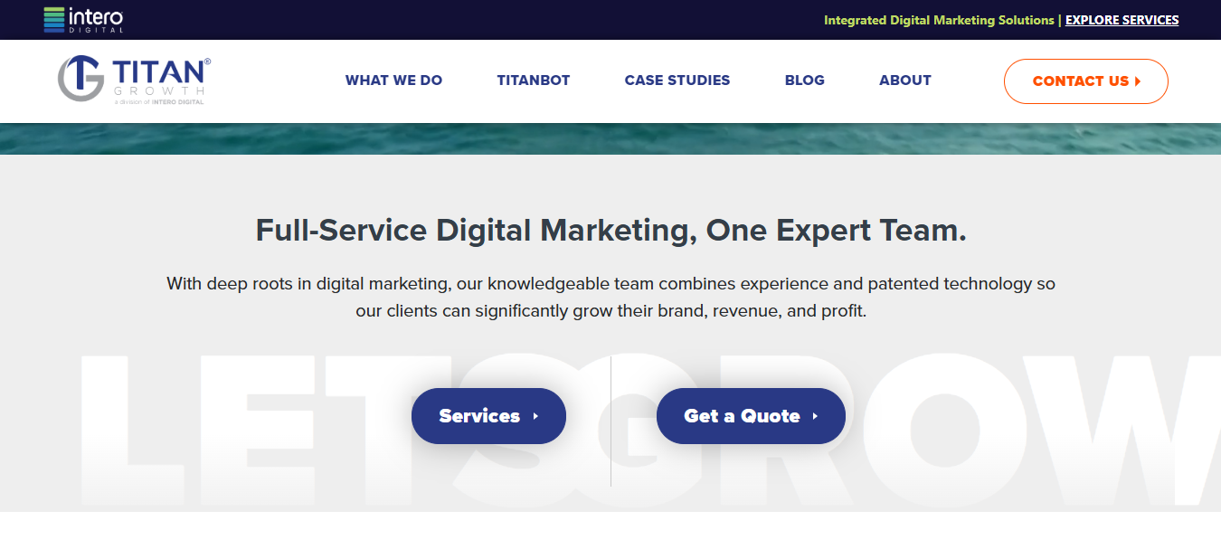 Screenshot 2026-02-13 053350 Premium SEO Agency
