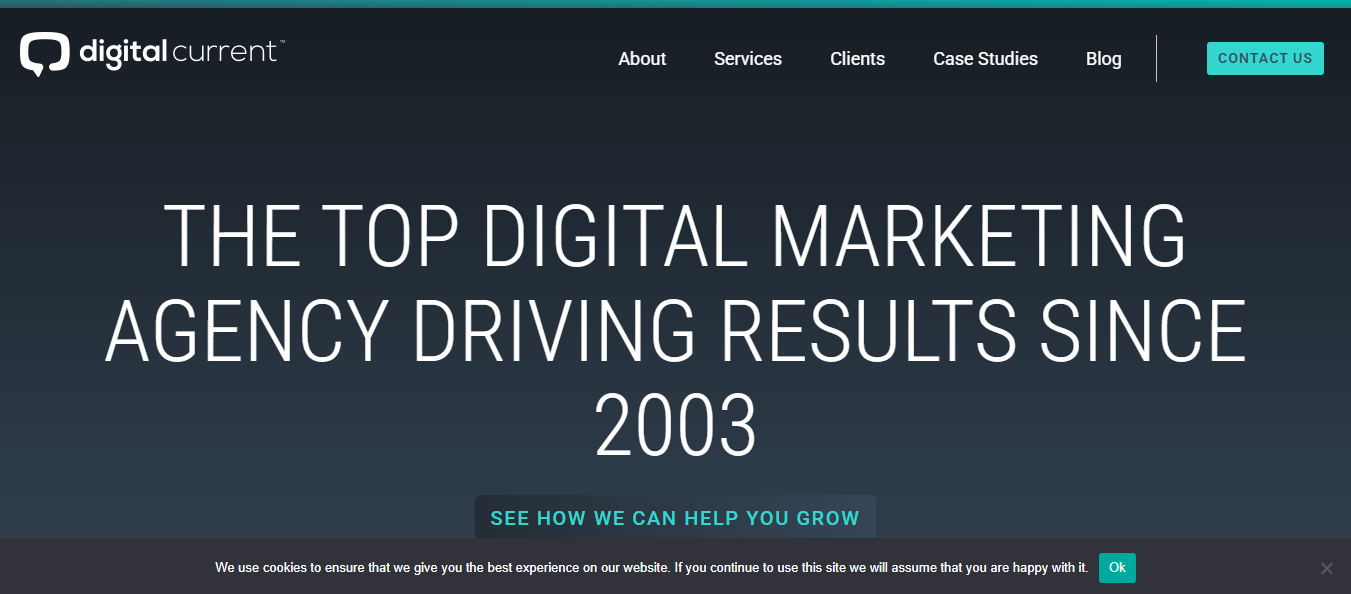 SEO agency for dermatology brands