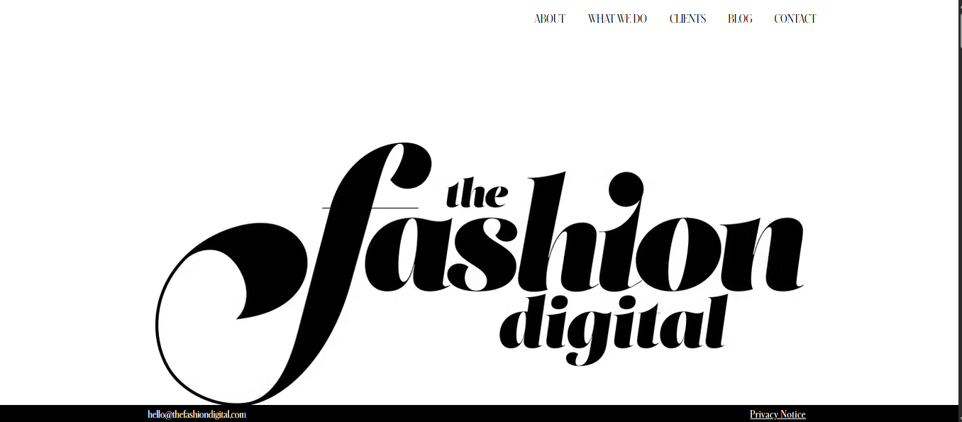 Screenshot 2026-02-13 141215 SEO agency for fashion ecommerce