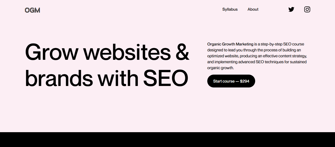 SEO Agency for Authority Building