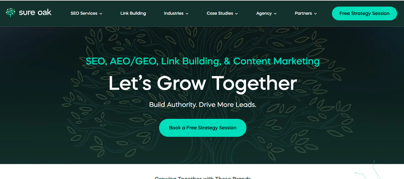 Screenshot 2026-02-21 065752 SEO Agency for Seasonal Fashion Brands
