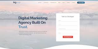images SEO agency for fashion companies